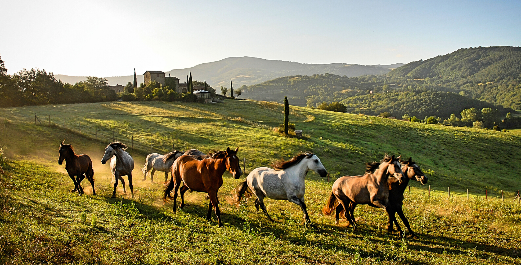 Italy_Umbria_Reschio_Estate_main_banner_fivestardestination_five_star_destination